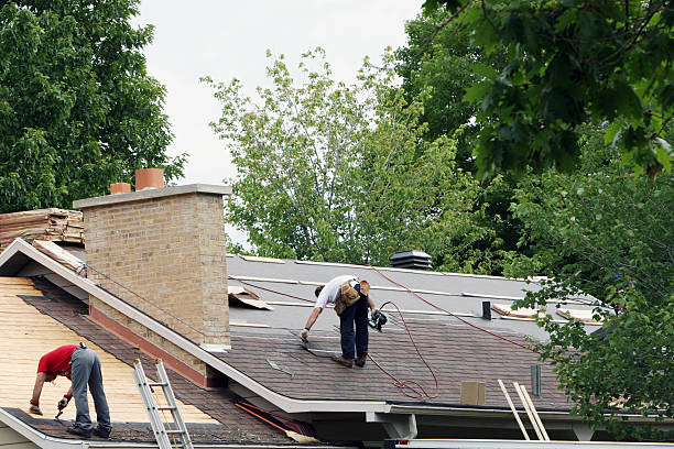 Best Metal Roofing Contractor  in Robins Af, GA