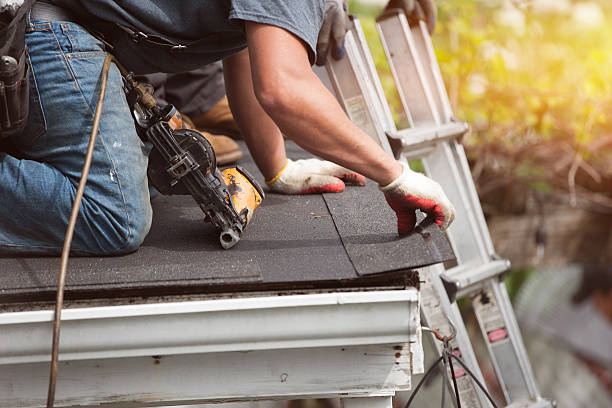 Best Roof Gutter Cleaning  in Robins Af, GA