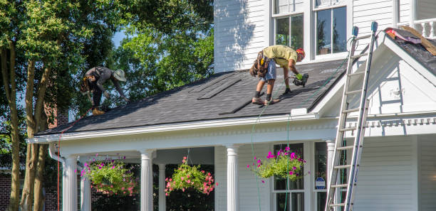 Best Roof Maintenance Services  in Robins Af, GA